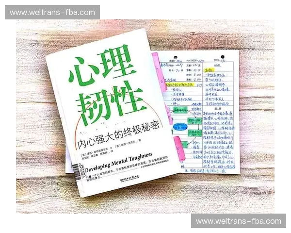 基于多维指标的个体心理韧性评估体系构建与应用方法实践探索