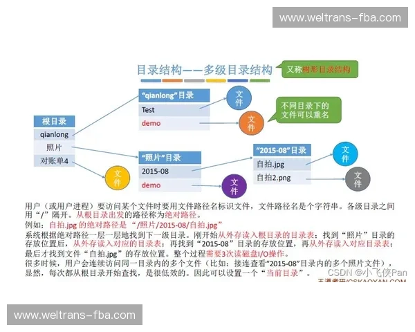 推动体育职业化进程加强产业链建设提升运动员职业发展路径与市场价值